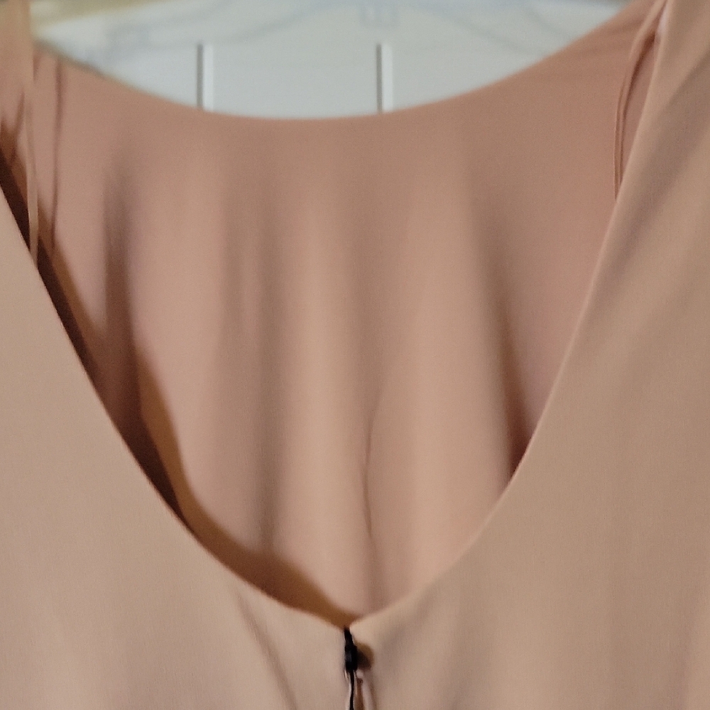 Dress the Population Long Sleeve Blush Dress - Picture 4 of 4